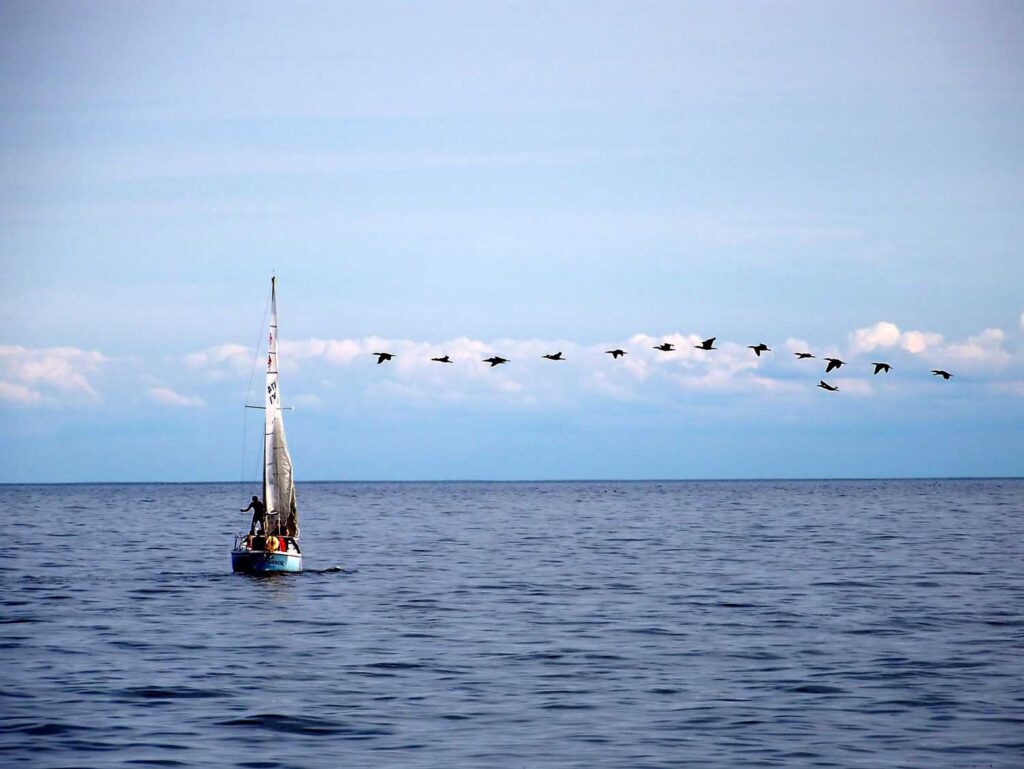 Individualreisen weltweit – Segelboot auf offenem Meer mit freiem Horizont