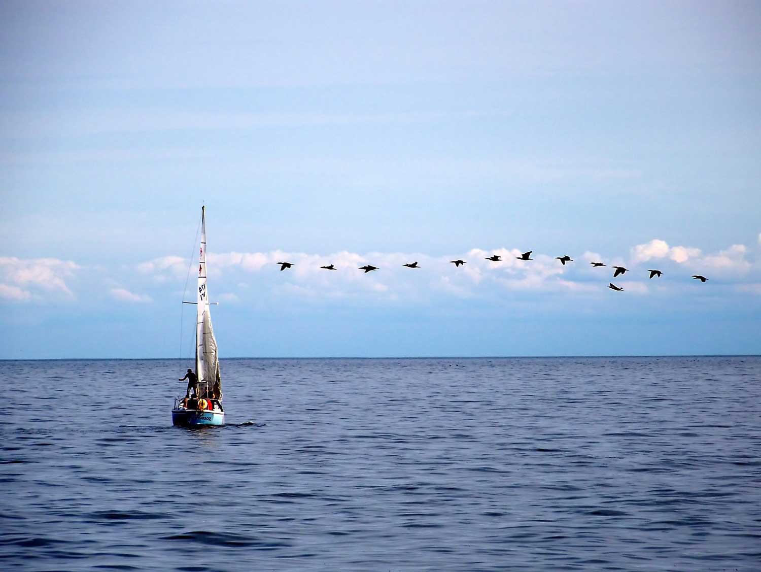 Individualreisen weltweit – Segelboot auf offenem Meer mit freiem Horizont