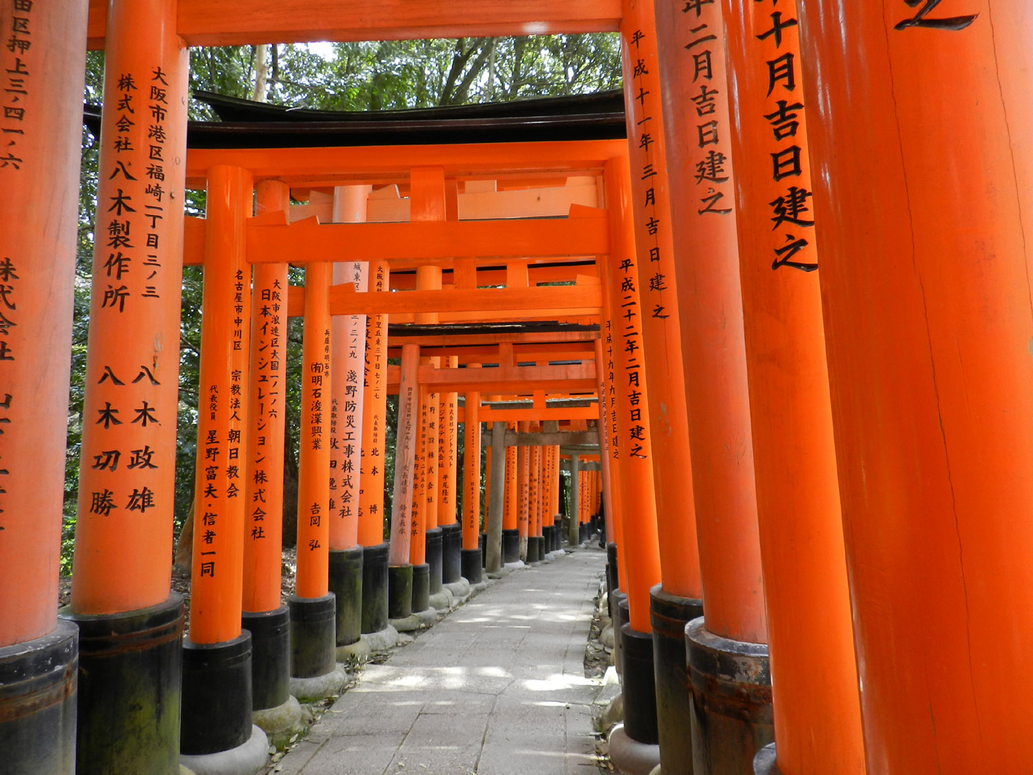 Reisebüro Japan und Reisebüro Basel für massgeschneiderte Japan Reisen