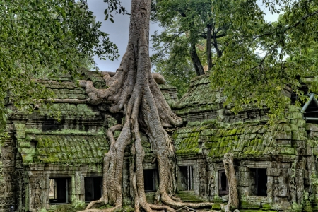 Kambodscha Rundreise zu den beeindruckenden Tempelanlagen von Angkor